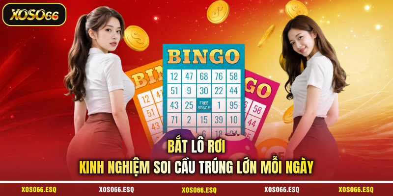 Bắt Lô Rơi - Kinh Nghiệm Soi Cầu Trúng Lớn Mỗi Ngày