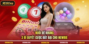 Nuôi Đề Khung - 3 Bí Quyết Cược Bất Bại Cho Newbie