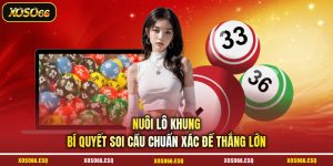 Nuôi Lô Khung - Bí Quyết Soi Cầu Chuẩn Xác Để Thắng Lớn