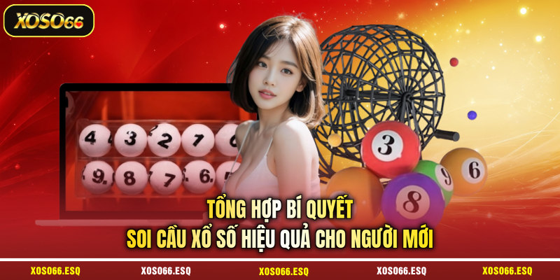 Tổng hợp bí quyết soi cầu xổ số hiệu quả cho người mới
